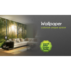 Wall Paper Wall Paper